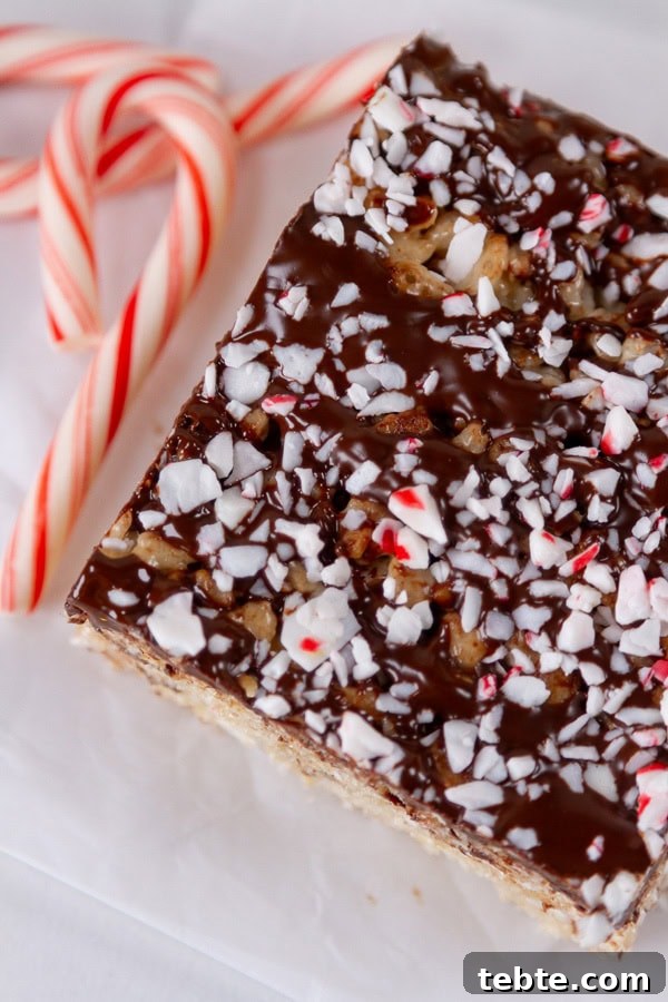 Peppermint Rice Krispies Treats Recipe for Festive Holidays 7 looking down on a chocolate covered dessert with peppermint and candy canes next to it.