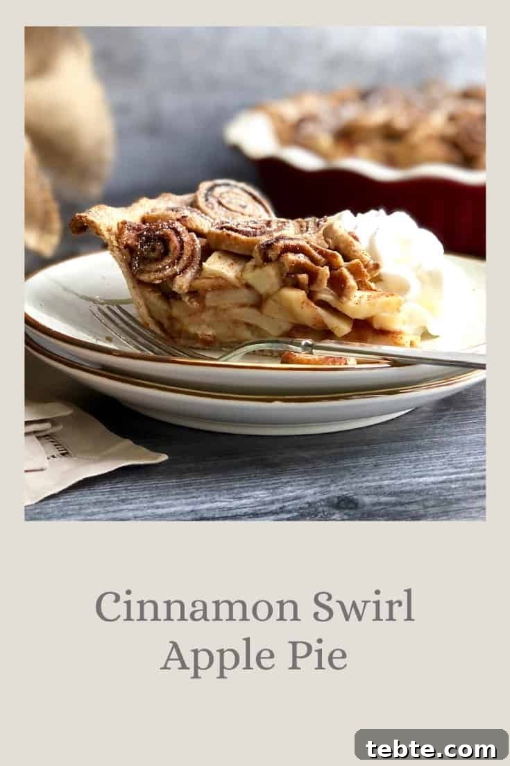 Cinnamon Swirl Apple Pie