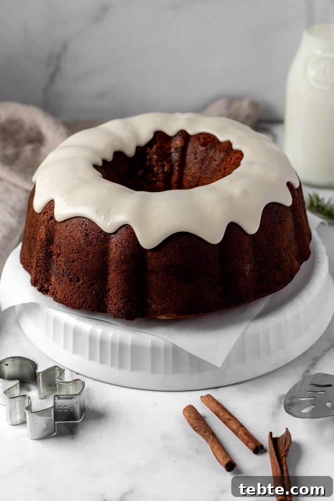 Spiced Gingerbread Bundt Cake Recipe with Molasses Glaze 4 img 7816 3
