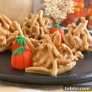 No-Bake Chocolate Haystack Cookies 11 no bake haystack cookies with butterscotch and marshmallow pumpkins on plate