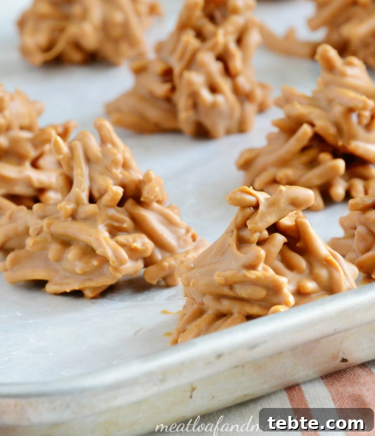 No-Bake Chocolate Haystack Cookies 7 fall-butterscotch-haystacks-candy-bundles
