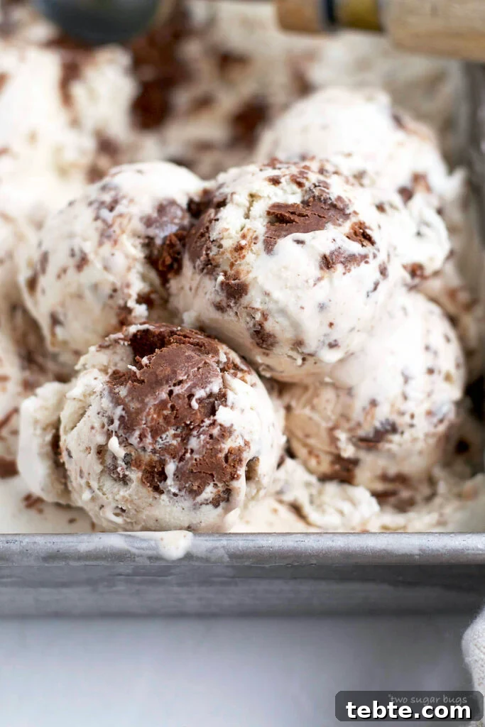 scoops of brownie batter ice cream