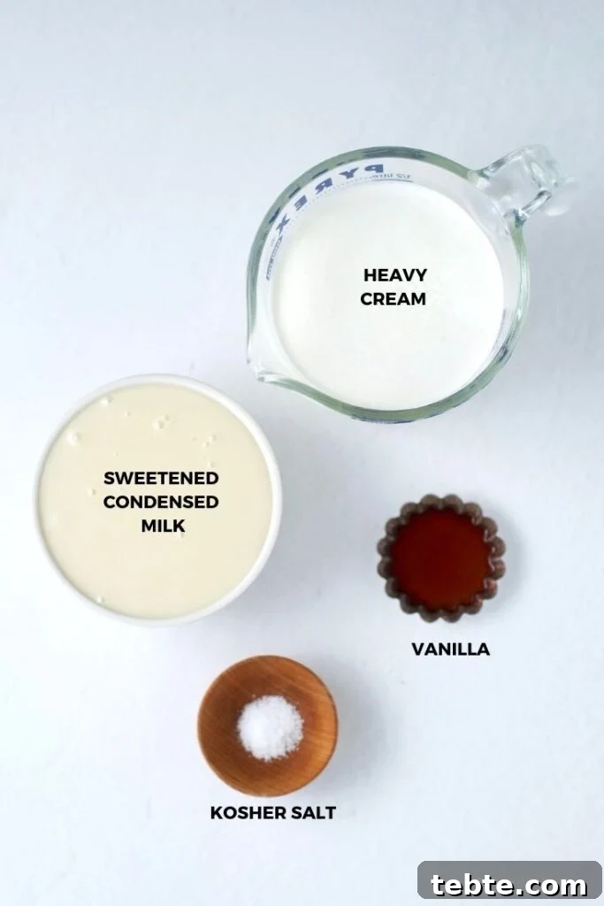 no churn vanilla ice cream ingredients