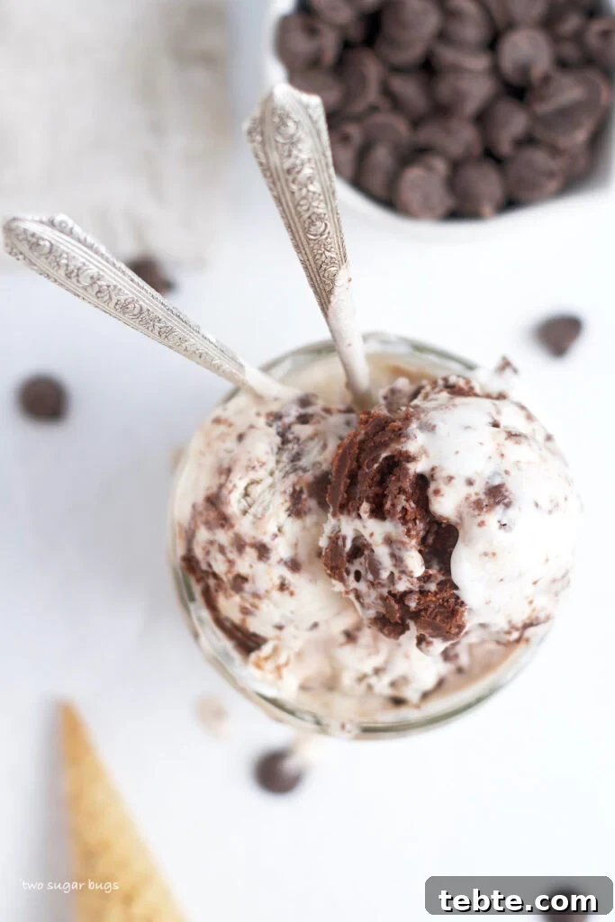 downward look on a glass of brownie batter ice cream with two spoons