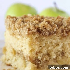 Moist Apple Crumb Cake Recipe with Cinnamon Streusel 8 A square of apple crumb cake with a couple fresh apples in the background.