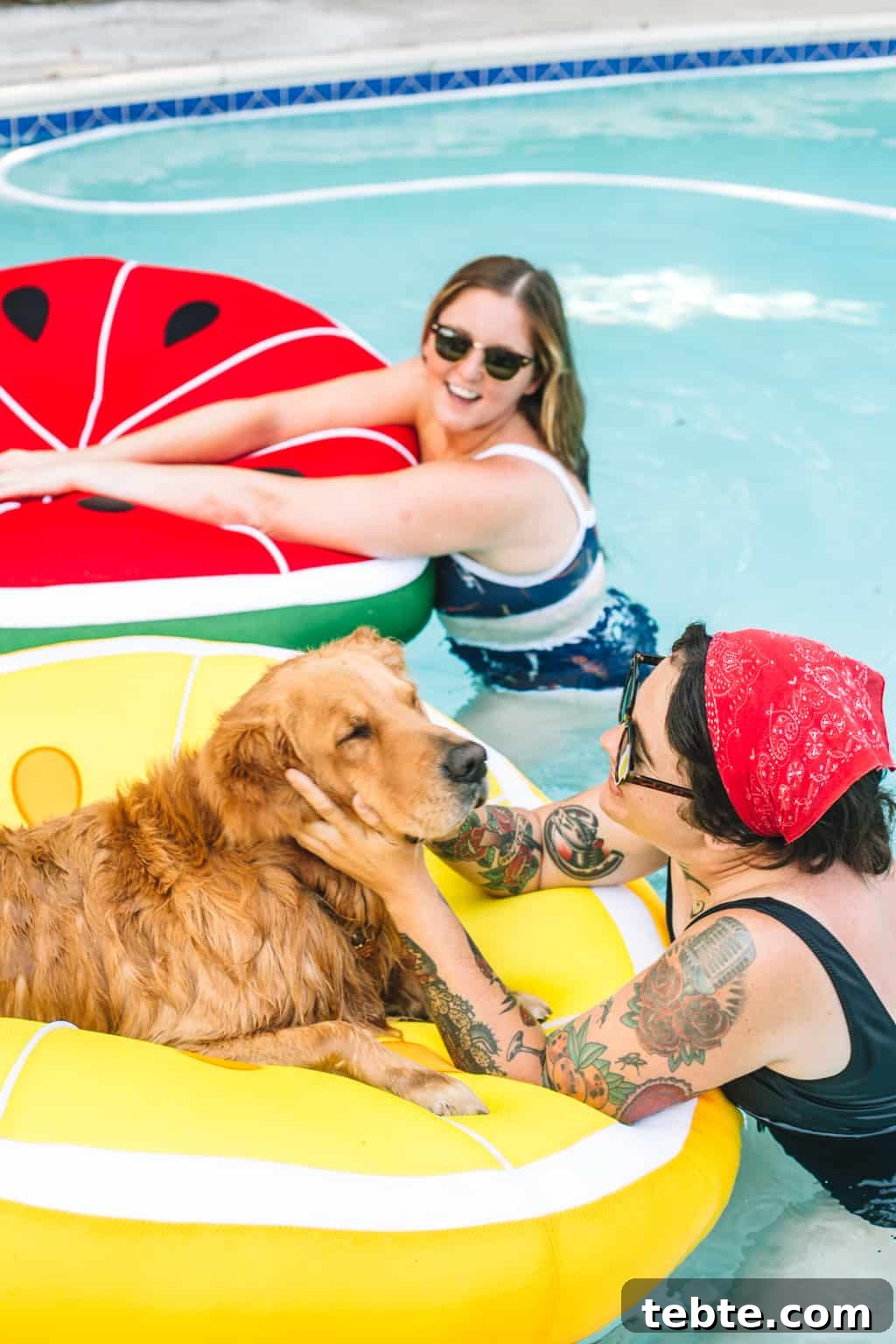 Two girls on pool floats in the pool with a dog on one of the pool floats.