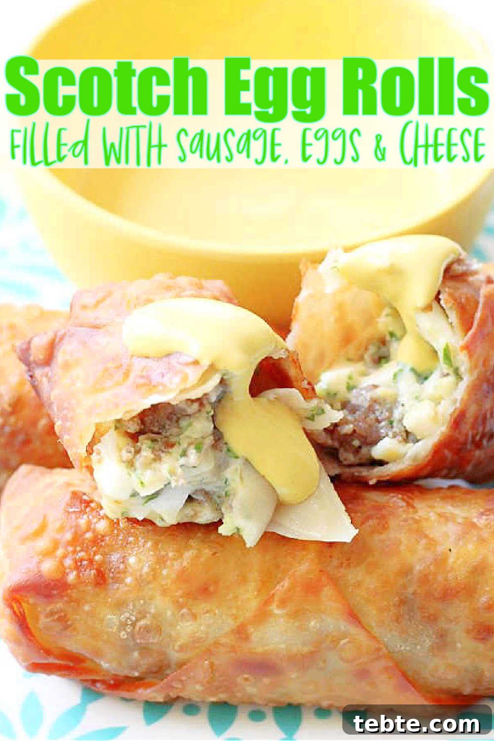 Crispy Scotch Egg Spring Rolls: Savory Snack Recipe 4 img 8637 4