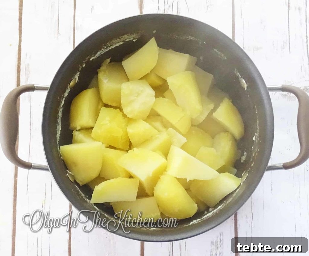 Creamy Classic Mashed Potatoes Recipe for Perfect Comfort Side 5 img 868 4