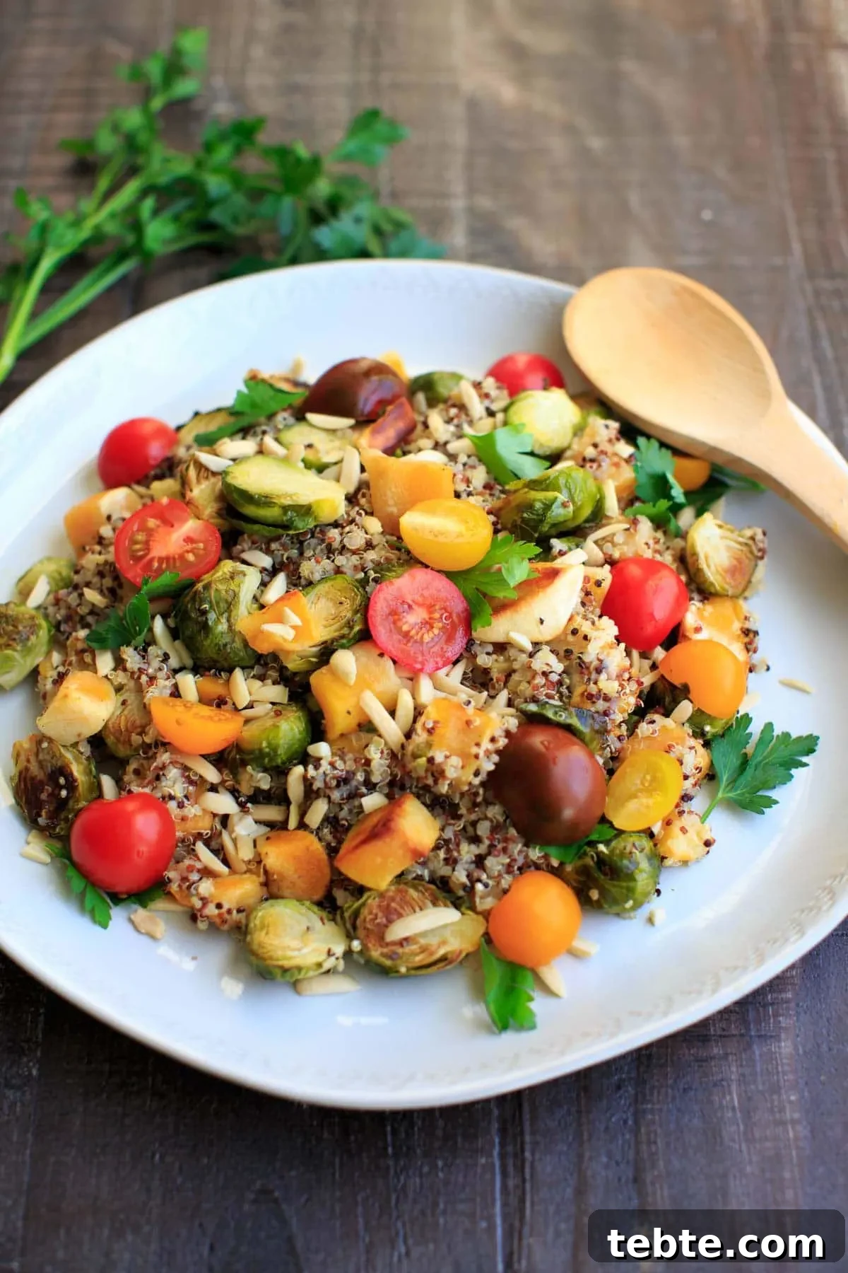 41 Fresh Fall Salad Recipes to Try This Season 11 Quinoa salad on a white plate with tomatoes, brussels sprouts and squash. A wooden spoon and cilantro along side the plate.