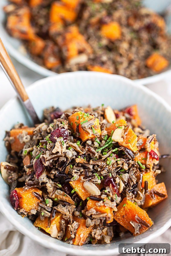41 Fresh Fall Salad Recipes to Try This Season 12 Roasted squash, wild rice, cranberries and almonds in a white bowl