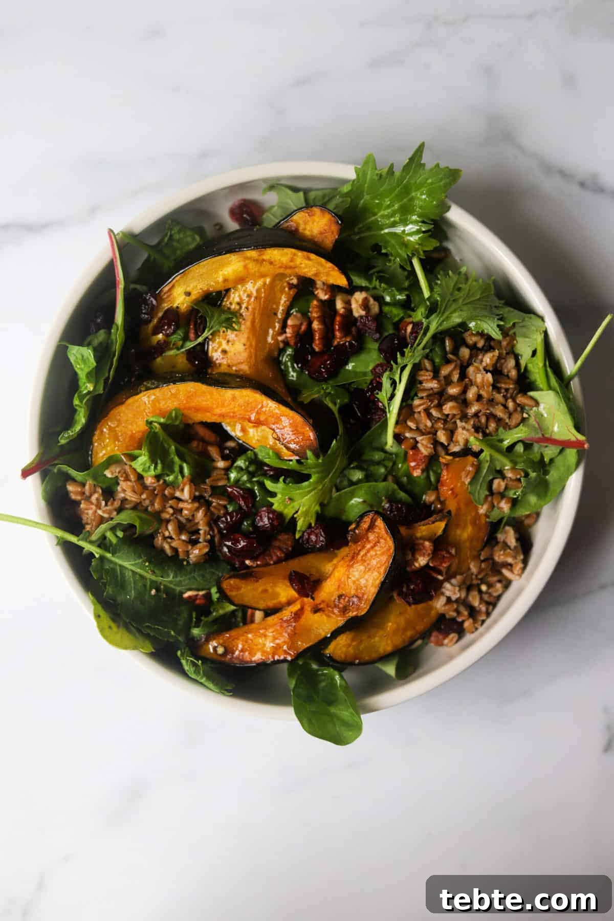 41 Fresh Fall Salad Recipes to Try This Season 17 A white bowl full of sliced acorn squash, greens and topped with nuts, cranberries and wheat berries.