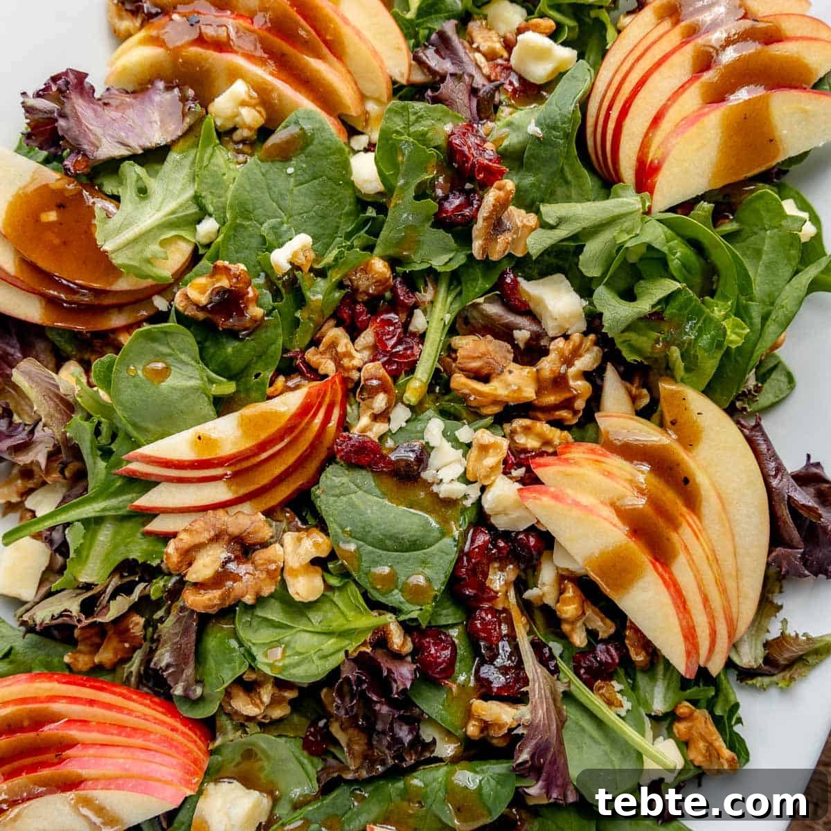 41 Fresh Fall Salad Recipes to Try This Season 3 A close-up of a fresh salad with mixed greens, apple slices, walnuts, cranberries, cheese chunks, and drizzled with a dark dressing.