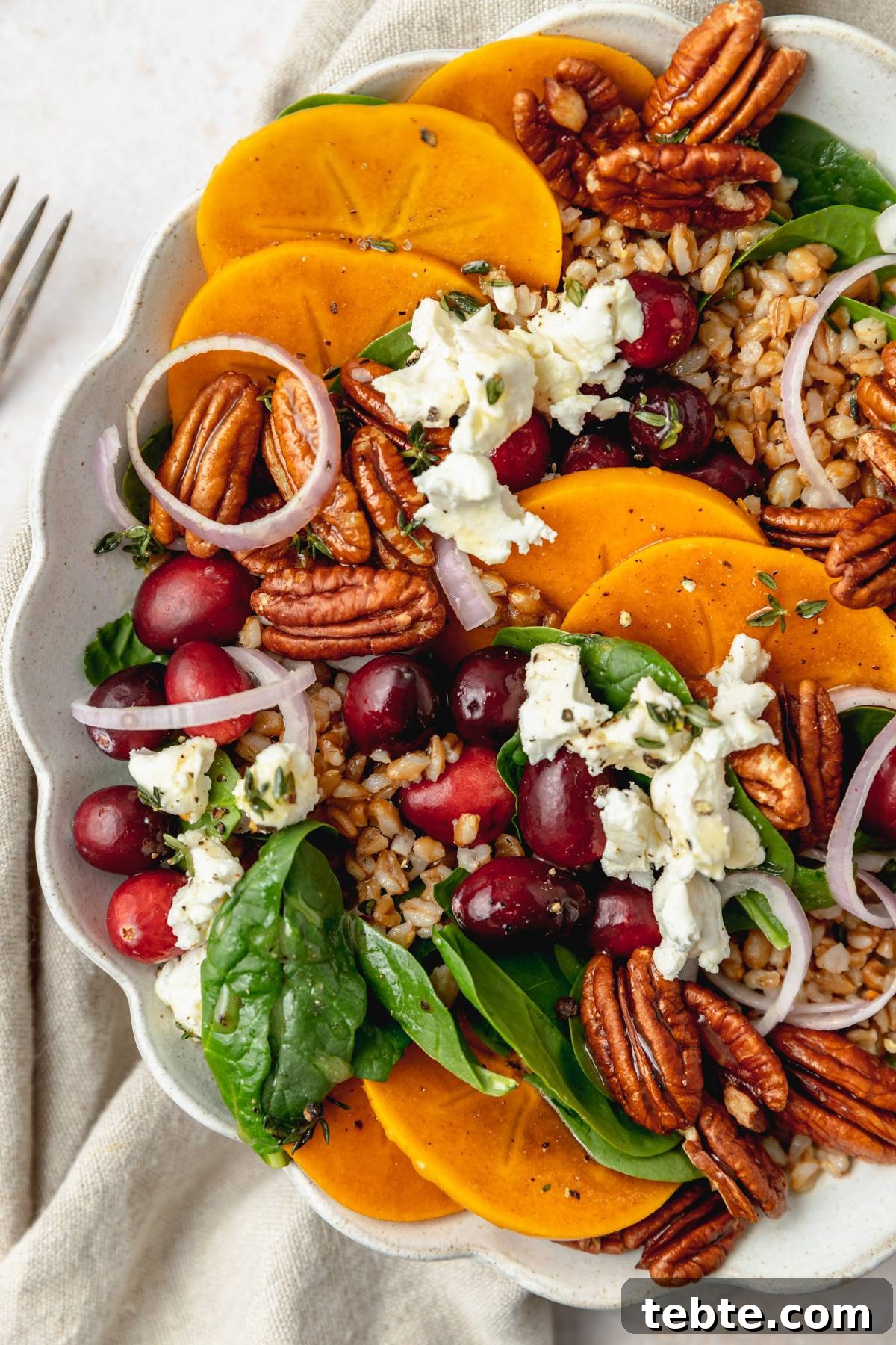 41 Fresh Fall Salad Recipes to Try This Season 23 Up close view of a salad on a white dish, full of leafy greens, pecans, whole cranberries, sliced persimmons, and topped with creamy cheese and farro.