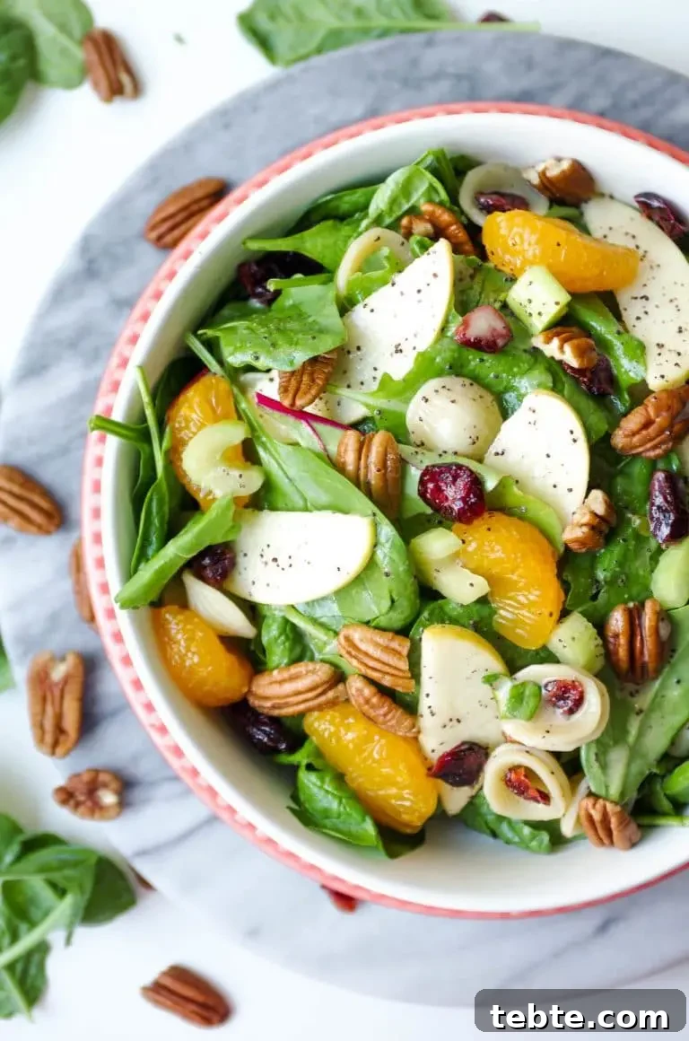 41 Fresh Fall Salad Recipes to Try This Season 27 A green salad, filling a red rimmed bowl, topped with small round pasta, orange slices, pecans, sliced apples, celery and dried cherries. Pecans and greens are spilled out around the bowl.