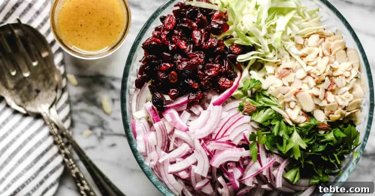 41 Fresh Fall Salad Recipes to Try This Season 38 A bowl of ingredients including shredded cabbage, herbs, sliced almonds, sliced red onions and dried cranberries. Serving utensils and extra dressing sit to the left of the glass bowl.