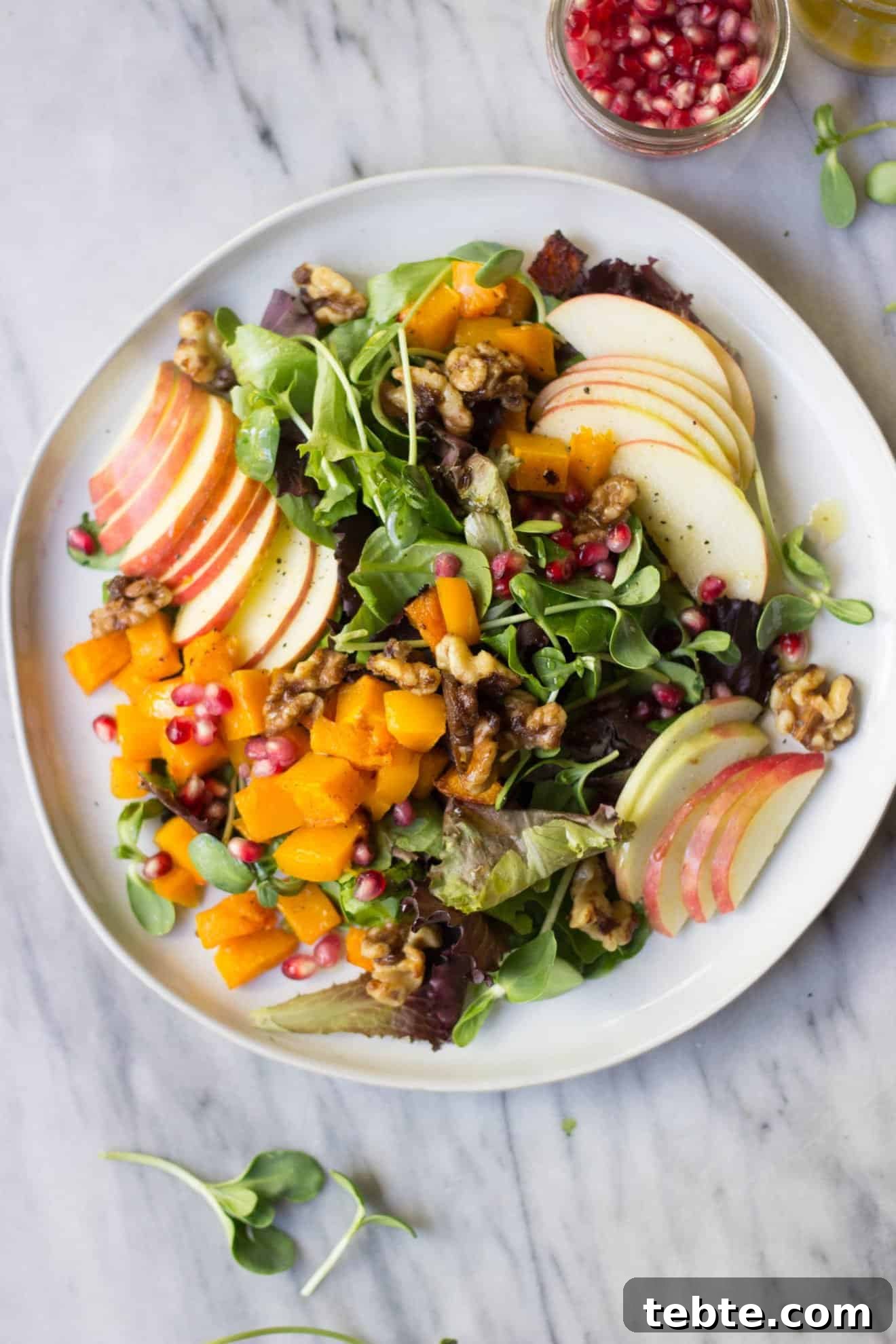 41 Fresh Fall Salad Recipes to Try This Season 8 A white plate with an arrangement of sliced apples, greens and topped with walnuts, pomegranate seeds, and diced orange squash.