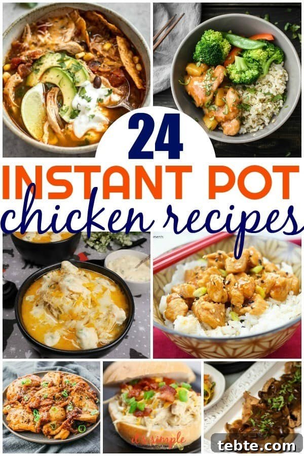 weeknight instant pot recipes