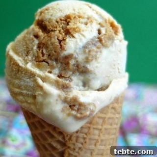 Cookie Milk Ice Cream Recipe for Ice Cream Tuesday 3 Cookie Milk Ice Cream with backdrop blown into frame