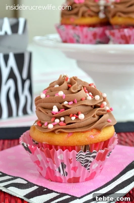 Nutella Funfetti Cupcake