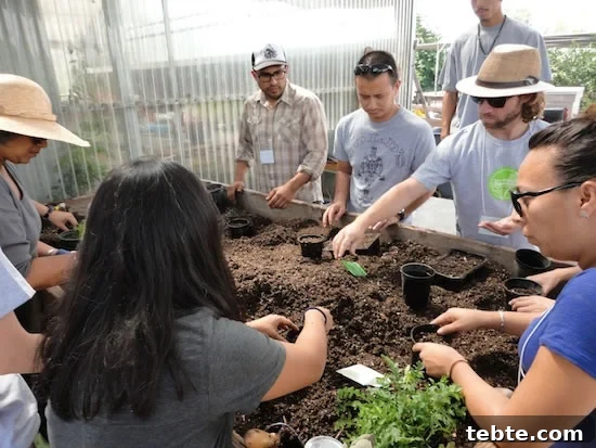 So you want to be an Urban Farmer? Planting Seedlings for the Greenhouse