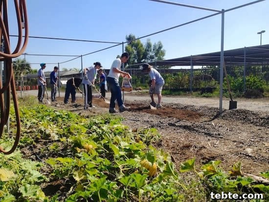 So you want to be an Urban Farmer? Planting in the urban farm