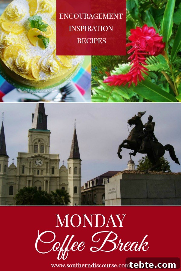 Monday Coffee Break: Week 25 Highlights and Top Picks 3 Monday Coffee Break is a weekly series filled with Biblical encouragement, hospitality inspiration & delicious recipes. This week features a triple layer lemon cake with lemon curd butter cream, a little about Mardi Gras and a little reminder that God will meet you right where you are! #southerndiscourse #coffeebreak