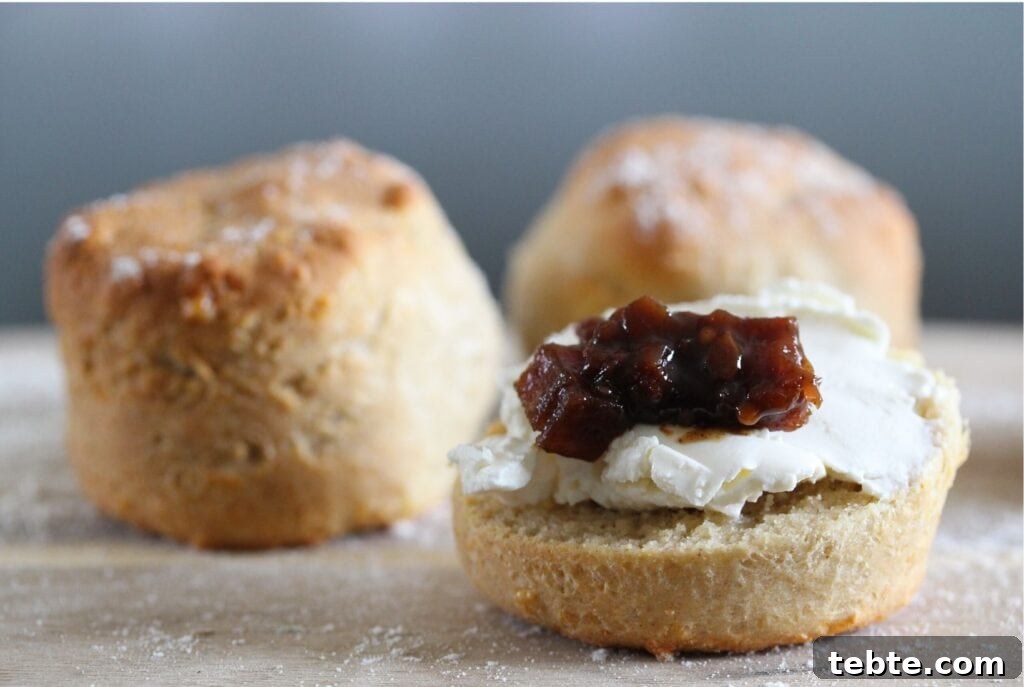 Perfect Gluten-Free Scones: Flaky, Tender, and Simple 6 img 9725 5