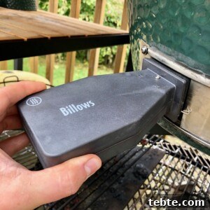 Thermoworks Billows: Digital Temperature Controller for Smoking and Smoking Accessories 3 thermoworks billows plugged in