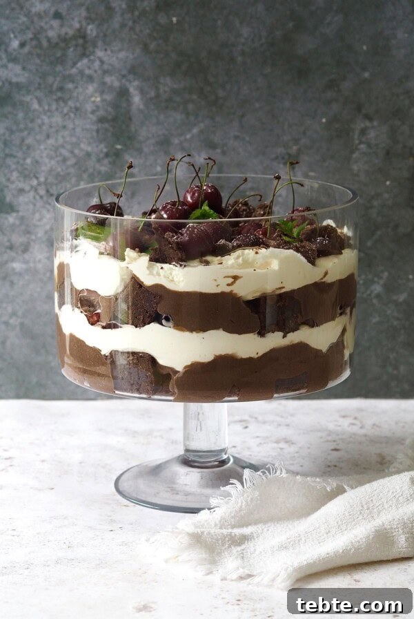 Double Chocolate Marble Brownies: Dark & White Swirl Recipe 13 Chocolate Brownie Trifle