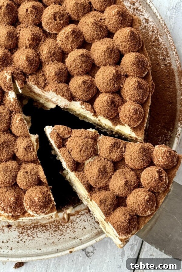 Double Chocolate Marble Brownies: Dark & White Swirl Recipe 14 overhead shot of slice removed from tiramisu cheesecake
