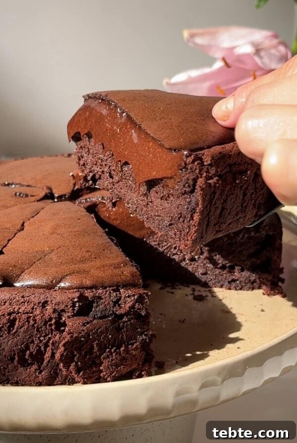Double Chocolate Marble Brownies: Dark & White Swirl Recipe 15 Moelleux au Chocolat