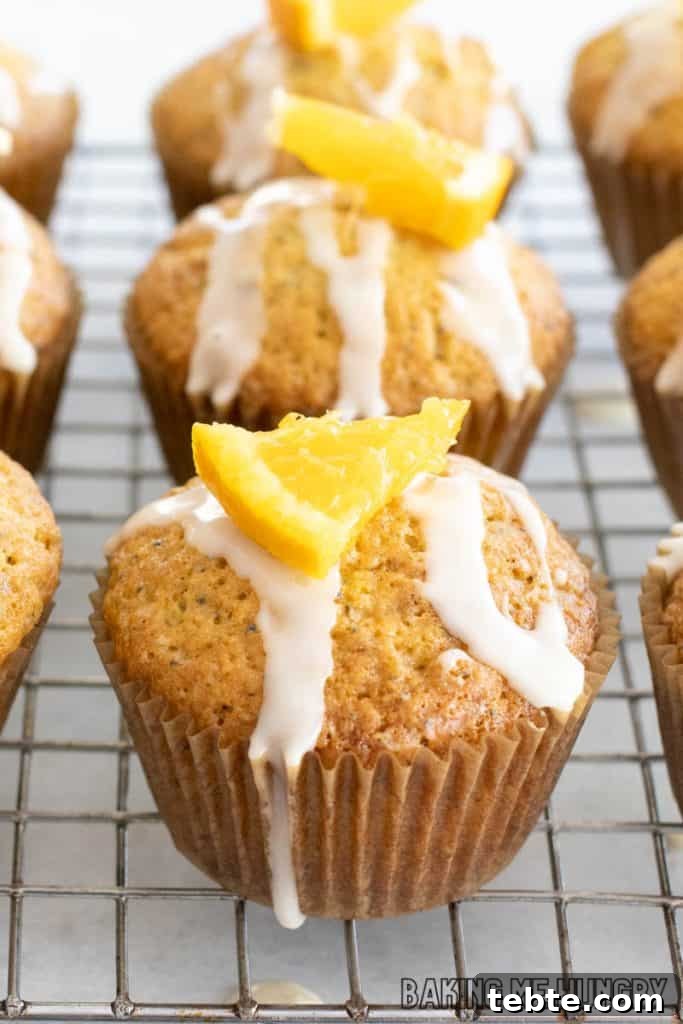 Citrus Poppy Seed Muffins with Orange Zest 2 orange poppy seed muffins close up on wire rack