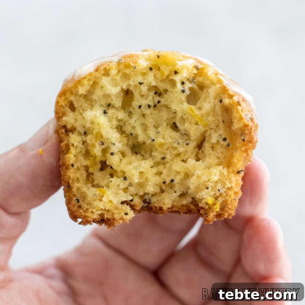 Citrus Poppy Seed Muffins with Orange Zest 12 hand holding half of an orange poppy seed muffin showing inside moist texture