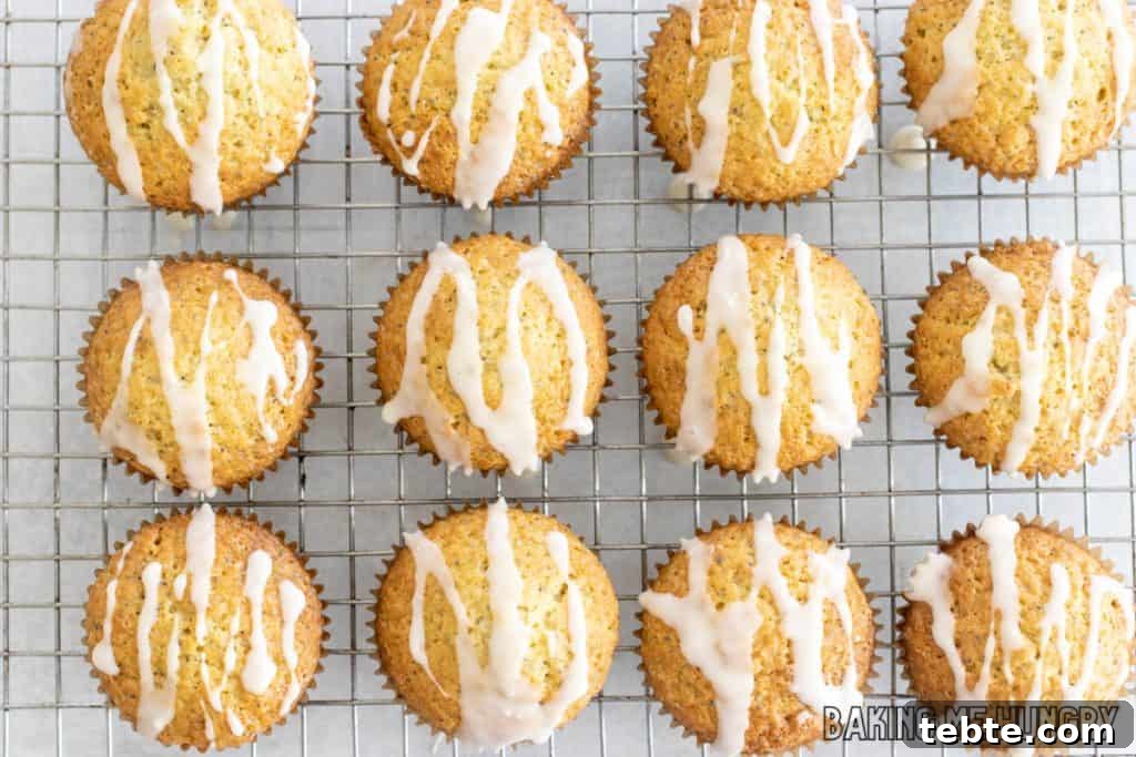 Citrus Poppy Seed Muffins with Orange Zest 10 orange poppy seed muffins with orange drizzle on wire rack