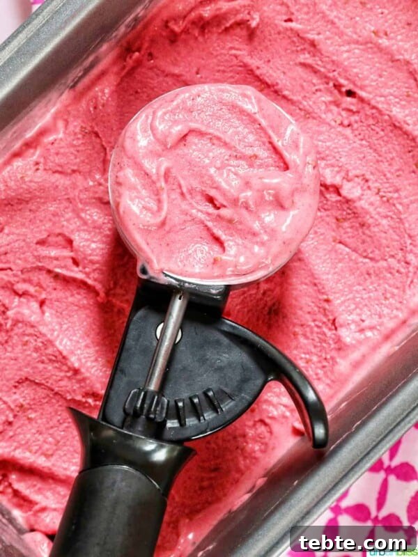 Homemade Strawberry Popsicles Recipe 15 ice cream scoop filled with raspberry sherbet on top of a pan filled with raspberry sherbet.