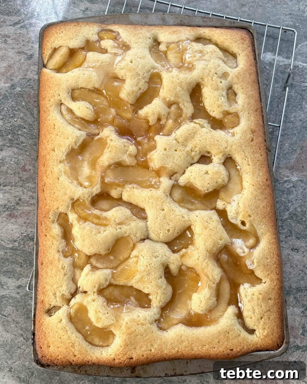 Sheet-Pan Scone Cake Recipe 9 A baked apple scone cake.