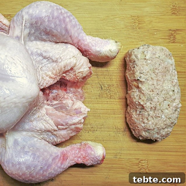 Sausage Stuffing with Sage and Onion 7 A roll of sage and onion stuffing ready to go inside a chicken.