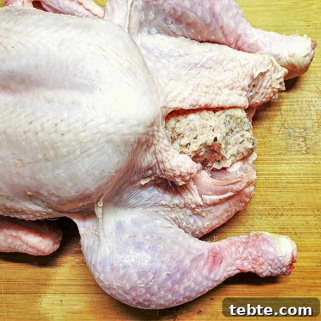 Sausage Stuffing with Sage and Onion 8 Pork sausage sage and onion stuffing inside the neck cavity of a chicken.