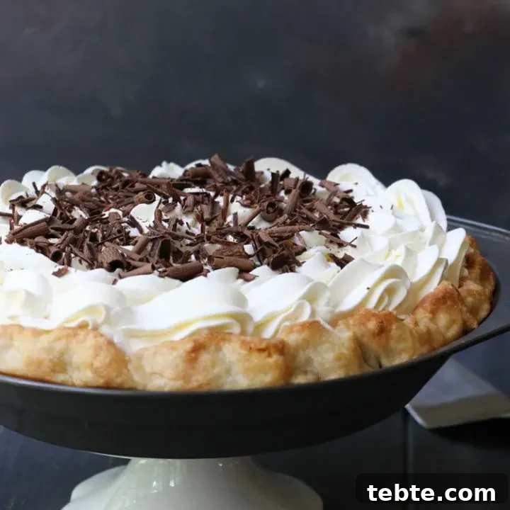 Side view of chocolate cream pie on a cake pedestal