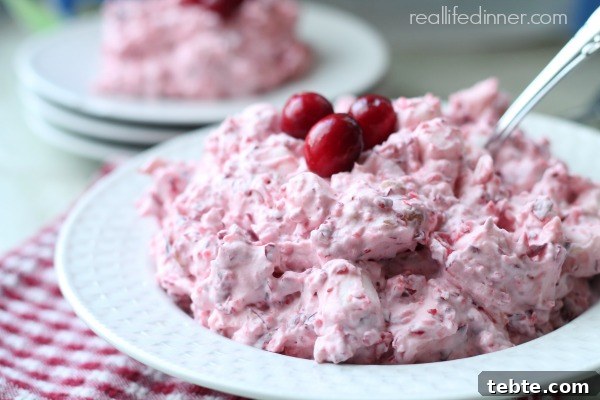 Fancy-Looking Christmas Eve Dinner Ideas for Busy Families 11 Cranberry Apple and Walnut Fluff Salad