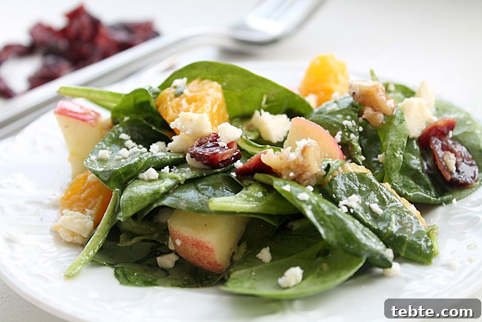 Fancy-Looking Christmas Eve Dinner Ideas for Busy Families 13 sunshine-salad-the-best- fall-salad-ever