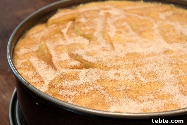 CInnamon Apple Pie Cake 