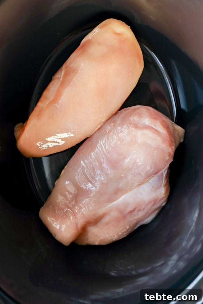 Creamy White Chicken Chili in the Slow Cooker 4 two chicken breasts in a slow cooker insert