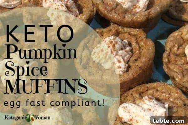 A close up of muffins