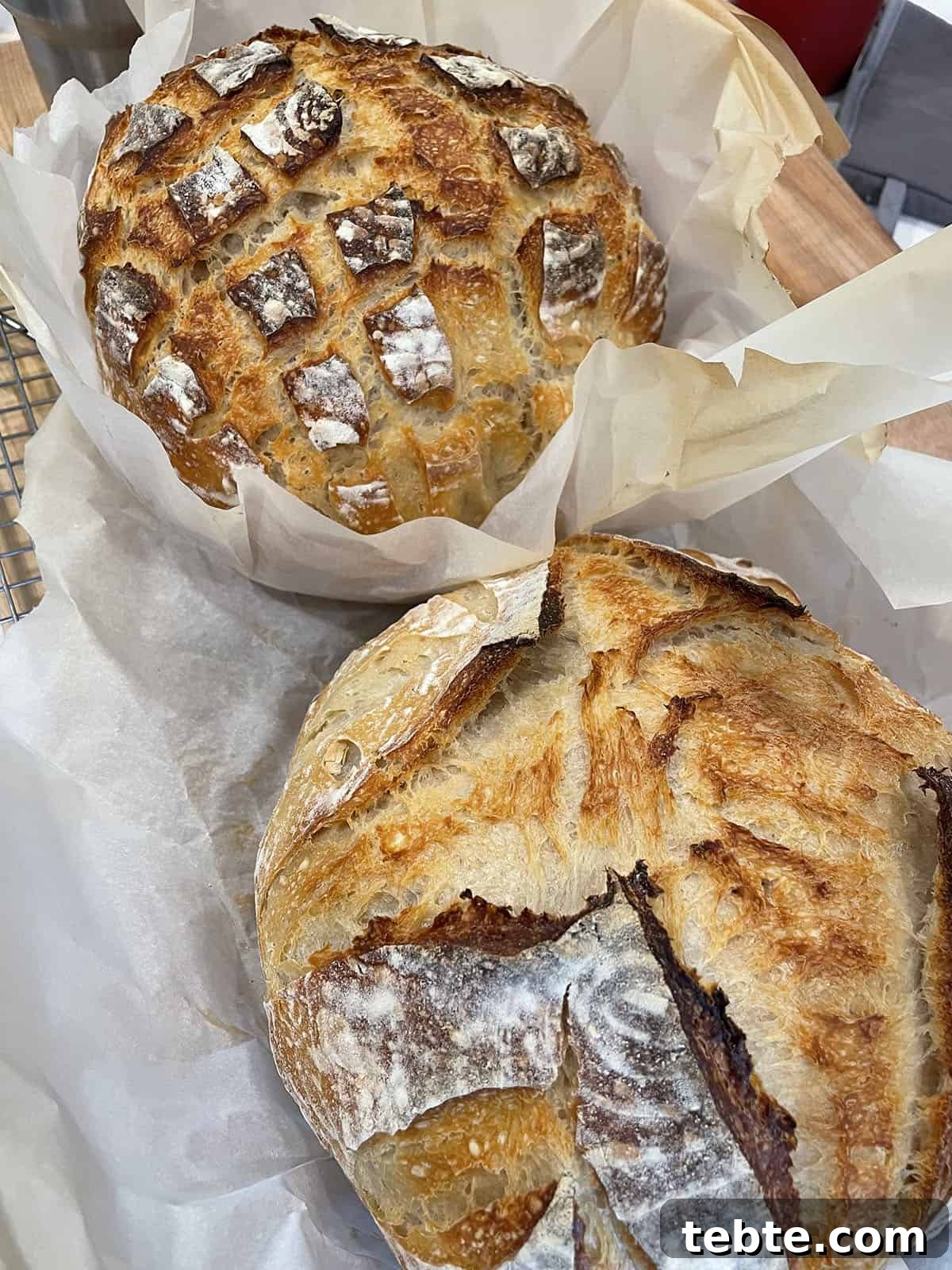 Two freshly baked loaves of sourdough bread sitting on parchment paper.