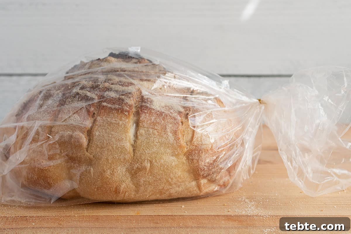 A loaf of sourdough in a plastic bag with a twist tie.