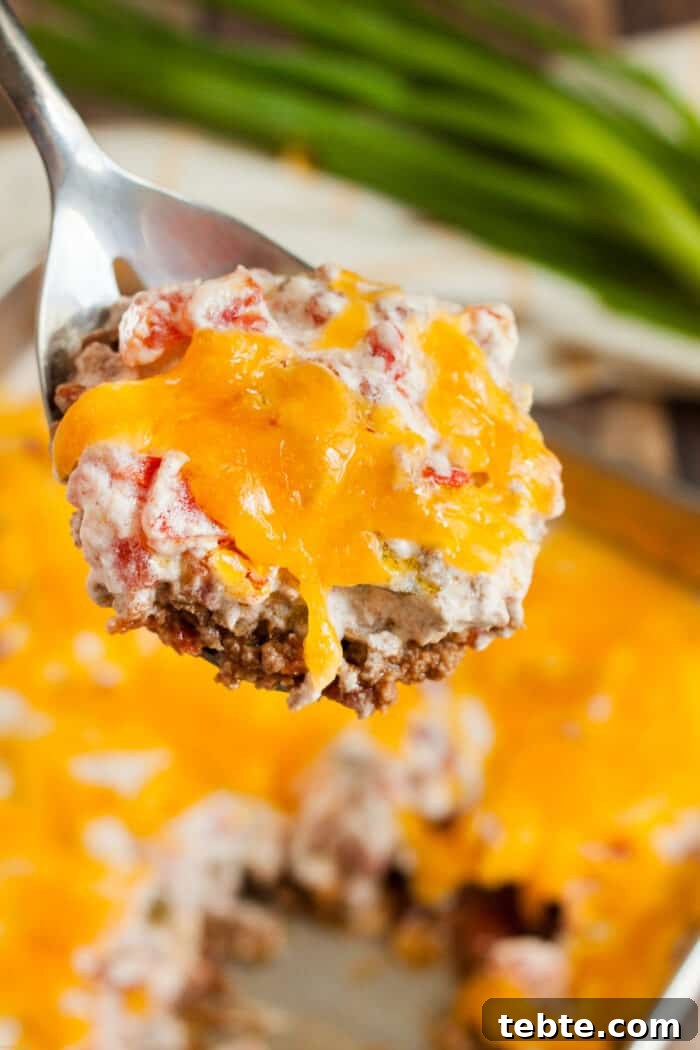 Keto Egg Roll in a Bowl: Low-Carb One-Pan Recipe 6 keto casserole beef and tomato on spoon being served