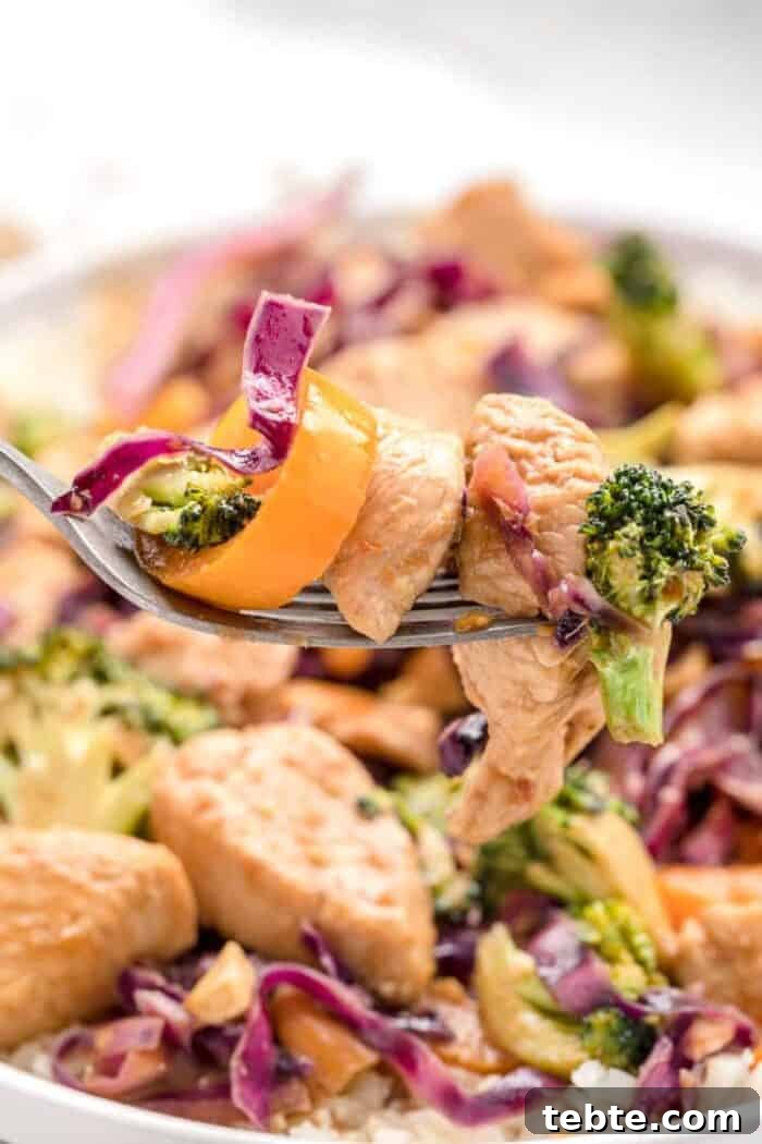 Keto Egg Roll in a Bowl: Low-Carb One-Pan Recipe 7 closeup view of keto stir fry with piece of chicken and vegetables on a fork