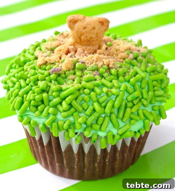 Cupcakes decorated as groundhogs with Teddy Grahams and sprinkles.