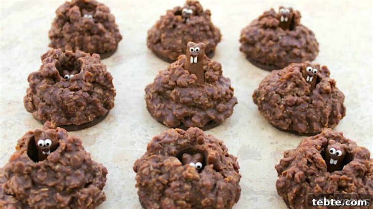 Pop-up groundhog cookie recipe shown as completed treats.